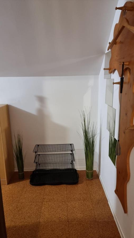 Apartma Ursic 크라니스카고라 외부 사진